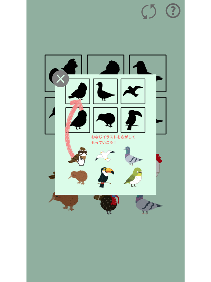 Puzzle Bird for Kids