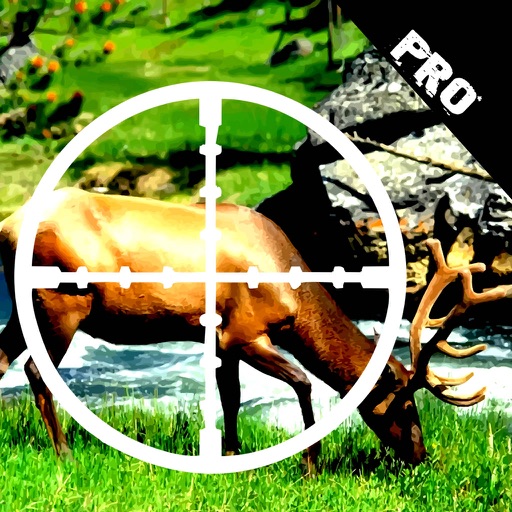 A Deer Target PRO - You Are The Best Hunter