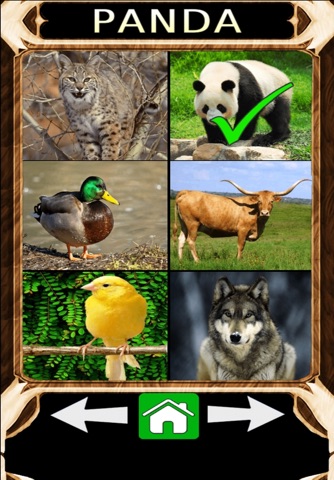 Animal Sounds Quiz 2.0 screenshot 2