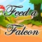 Feed-A-Falcon