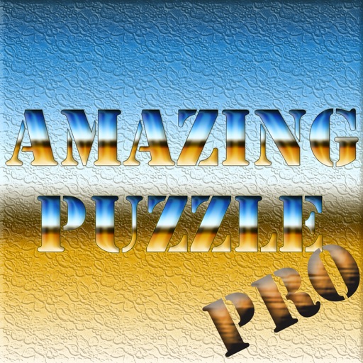 Amazing Puzzle Pro iOS App