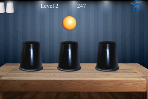Whack The Cup Pro - find the hidden ball screenshot 2