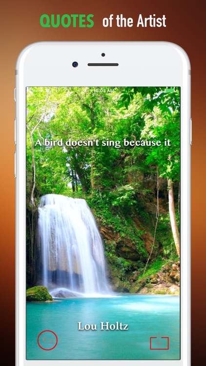 Tropical Rainforest Wallpapers HD- Art Pictures screenshot-3