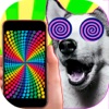 Hypnosis for dogs and cats optical illusions prank