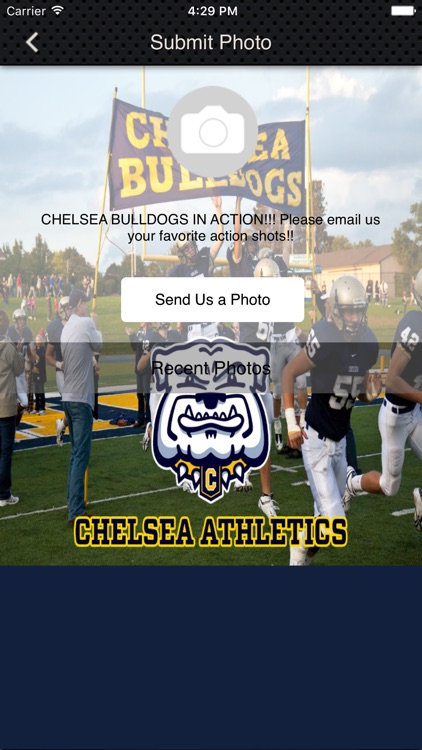 Chelsea Bulldogs