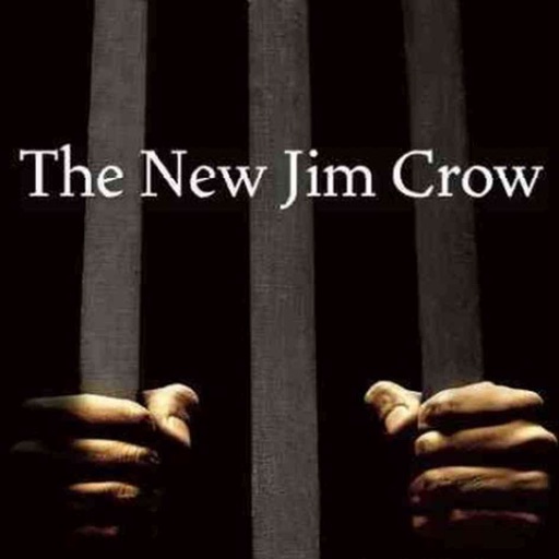 Quick Wisdom from The New Jim Crow:Practical Guide
