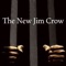 Want to quickly read the essence of the best seller book "The New Jim Crow: Mass Incarceration in the Age of Colorblindness" from Michelle Alexander, and to be inspired by everyday quotes