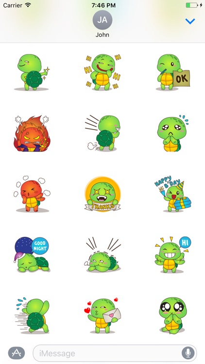 Funny Turtle Sticker