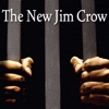 Quick Wisdom from The New Jim Crow-