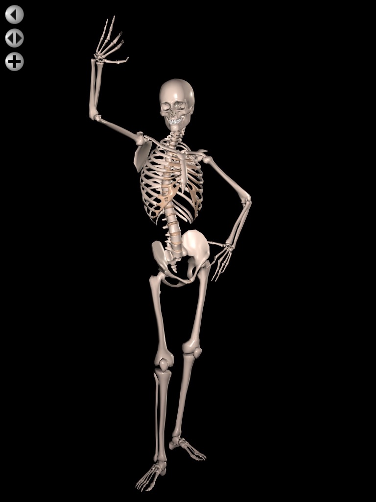 360 Anatomy for Artists HD: Male Figure screenshot 4