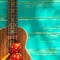 Learn quickly and easily ukulele lessons from this app