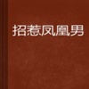 凤凰男有声小说—耽美言情系列