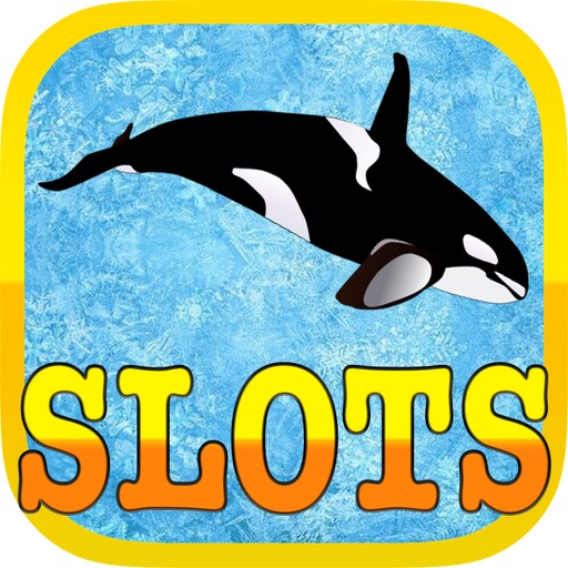 Funny Dolphin Poker Slot Machine Icon