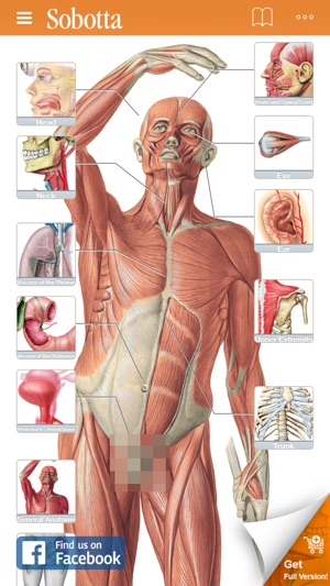 Sobotta Anatomy(圖1)-速報App