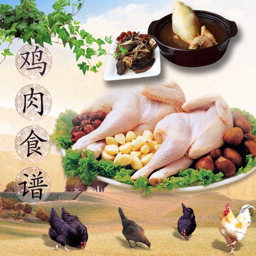 鸡肉做法大全 - 家常经典菜谱