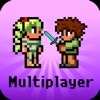 Multiplayer for Terraria