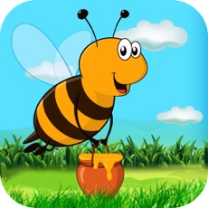 Activities of Honey Bee Adventure