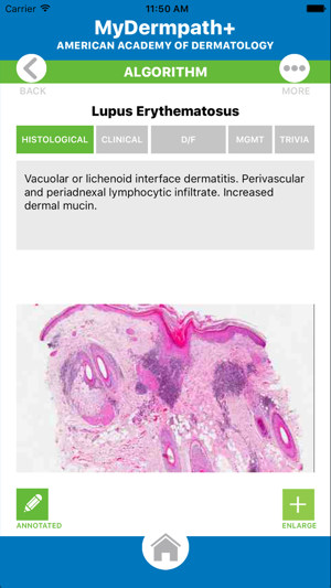 MyDermPath+(圖3)-速報App