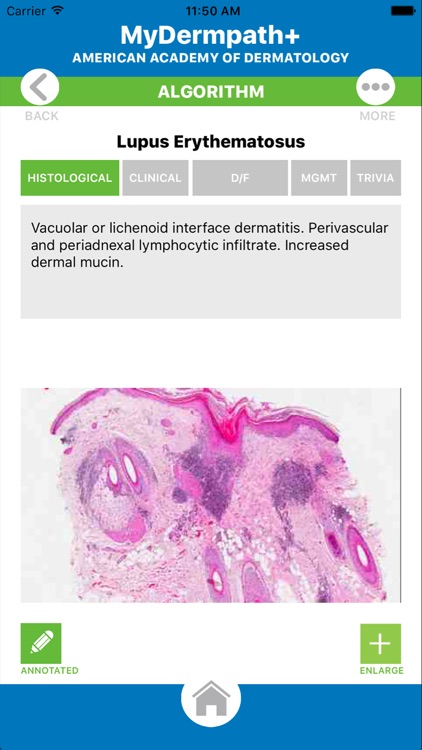 MyDermPath+