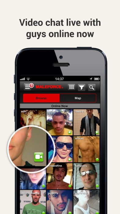 Maleforce - Gay chat for Android - Download Free [Latest Version + MOD] 2022