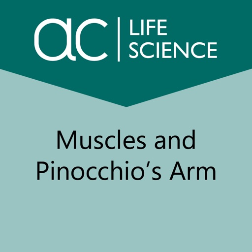 Muscles and Pinocchio’s Arm