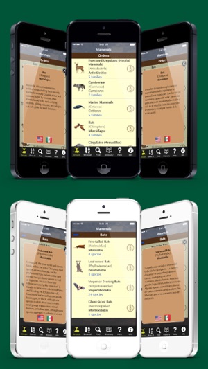 Florida Mammals – Guide to Common Species(圖3)-速報App