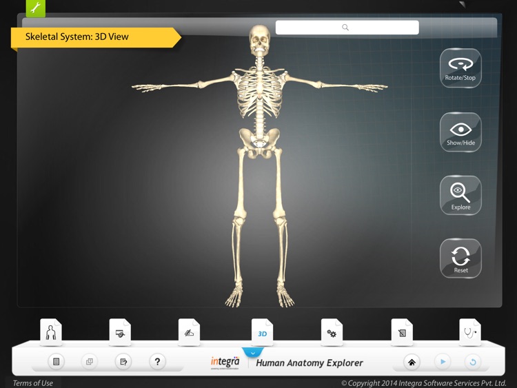 Human Anatomy Explorer Skeletal System screenshot-3