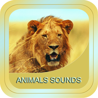 Animal Soundx