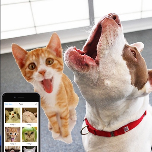 Cat Meow : Prank and troll your pets Icon