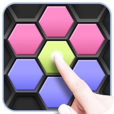 Activities of Block Puzzle: match hexa games