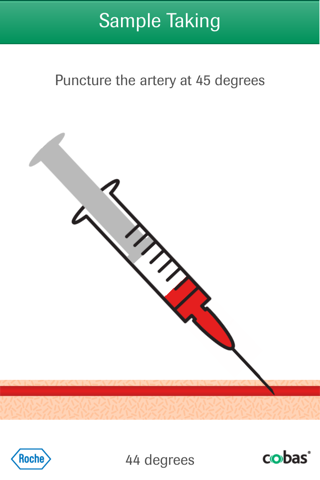 Roche Blood Gas Learn Your ABG screenshot 3