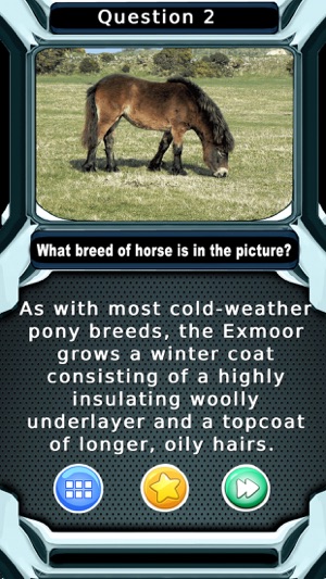 My Horse & Pony Breeds Quiz(圖3)-速報App