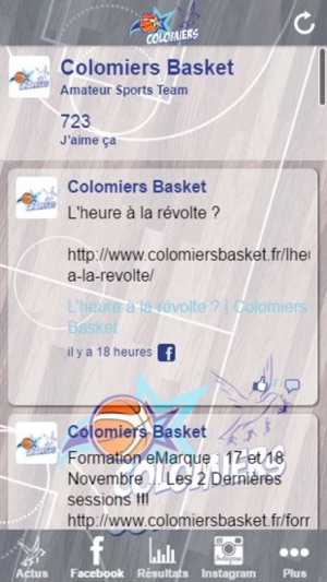 Colomiers Basket