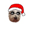 Snowy the Pupper Stickers for iMessage