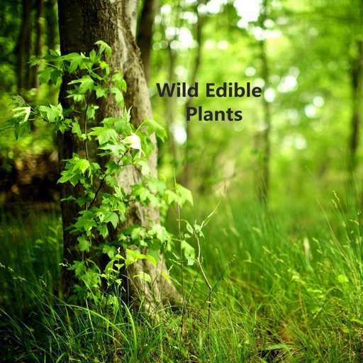 How to Find Wild Edible Plants icon