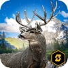 Wild Deer Hunt: Real Hunter Challenge 2016