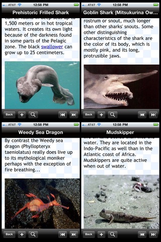 Weirdest Sea Creatures screenshot 2
