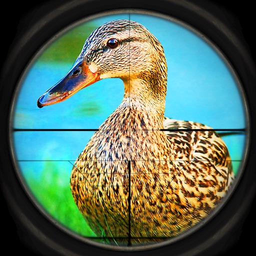 Duck Hunt Season 2016 - Shotgun Hunter icon