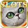 Amazing Classic Slots Animal and Poker Game