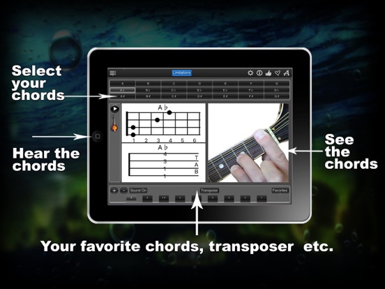 Mandolin Chords Liteのおすすめ画像1