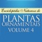 O quarto volume desta enciclopédia reúne mais 50 espécies de árvores, trepadeiras, frutíferas, herbáceas, palmeiras e arbustos para você conhecer melhor as plantas do Brasil e do mundo