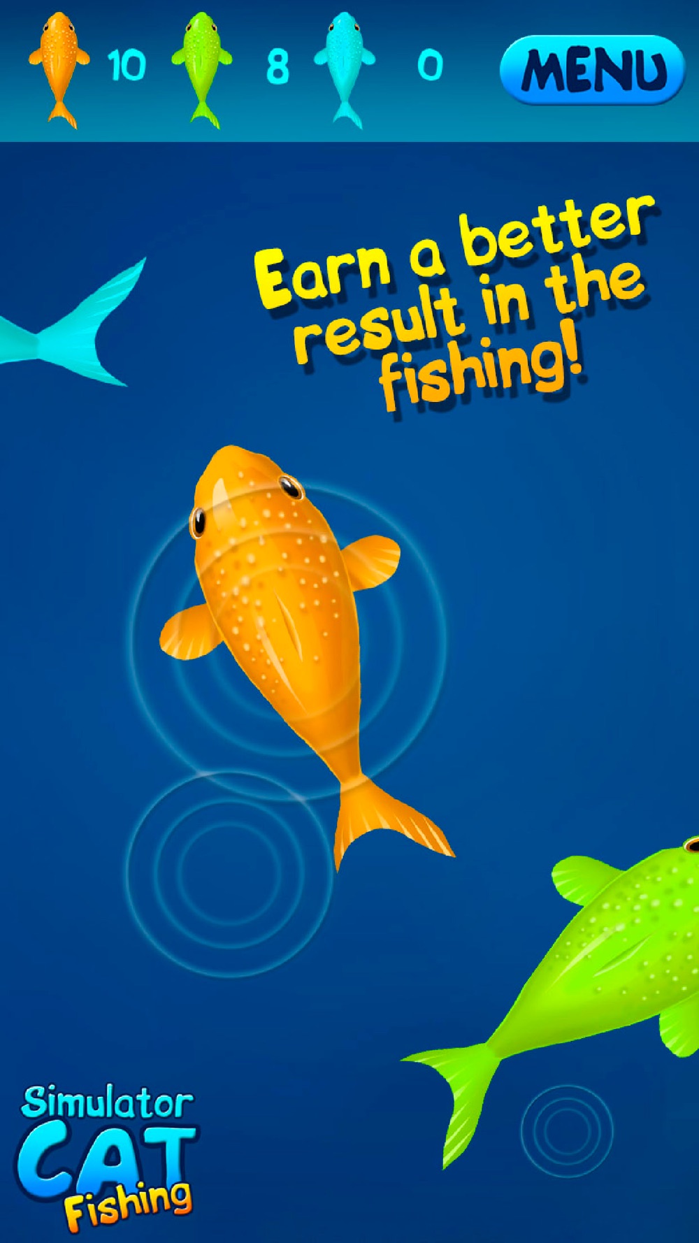 screen fish for cats