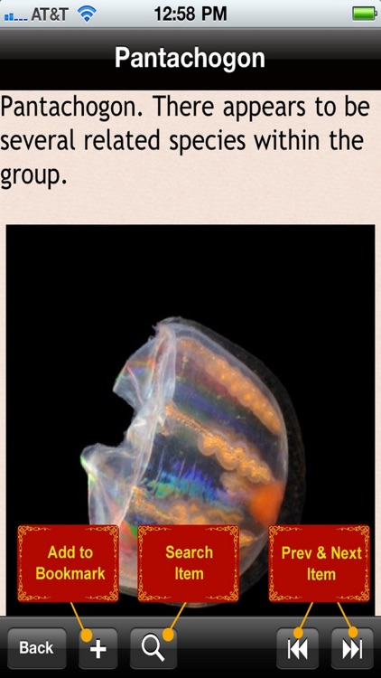 Jellyfish Encyclopedia screenshot-4