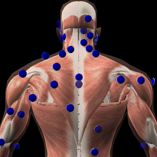 3D Trigger Points icon