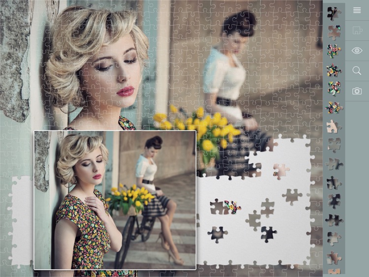 Jigsaw Puzzles Retro