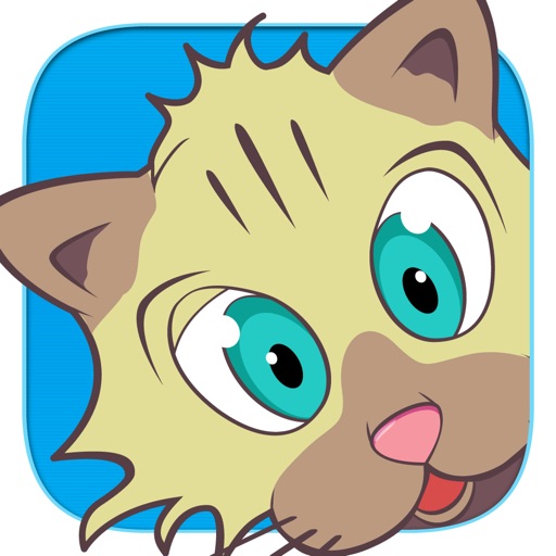 Combo Cats iOS App