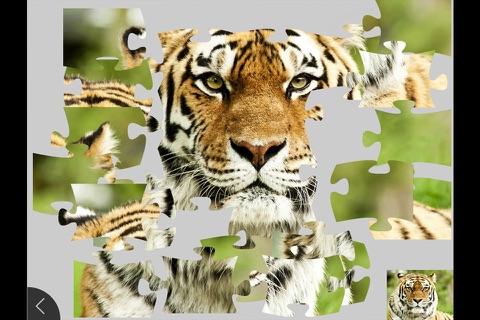 Скриншот из Animals - Jigsaw and Sliding Puzzles