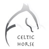 FSM-CelticHorse1