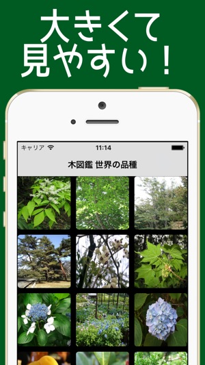 き図鑑 世界の品種 u003d木237種類u003d」をApp Storeで