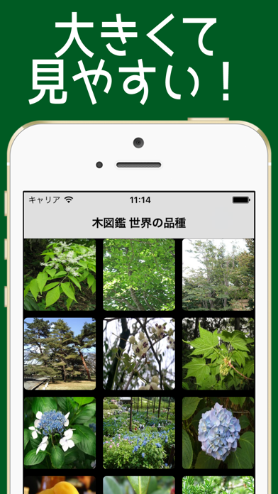 き図鑑 世界の品種 =木237種類= screenshot1